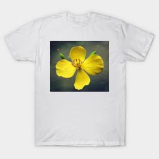 Wood Poppy In Yellow T-Shirt